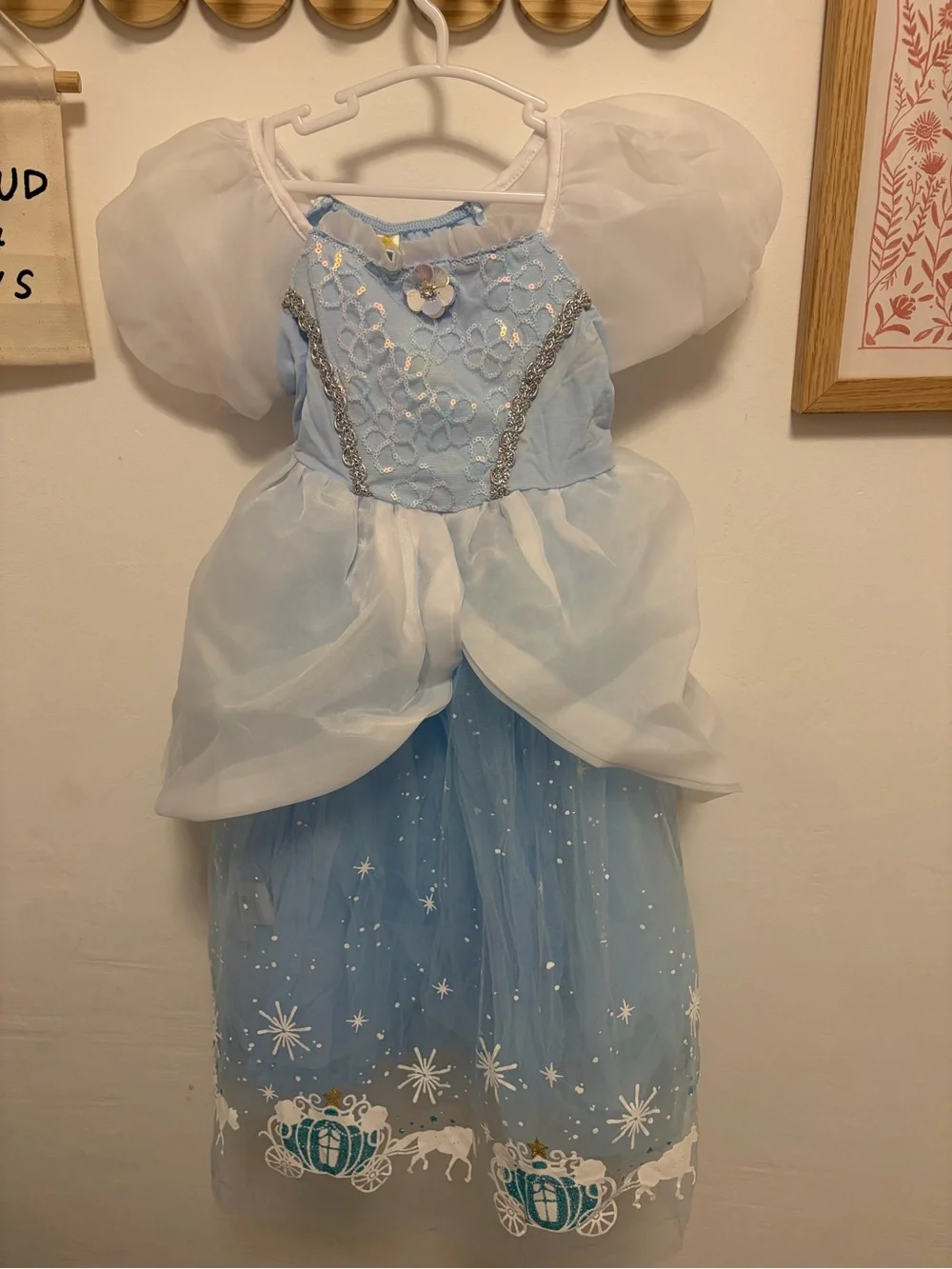 Blue Princess Carriage Kids Costume Dress